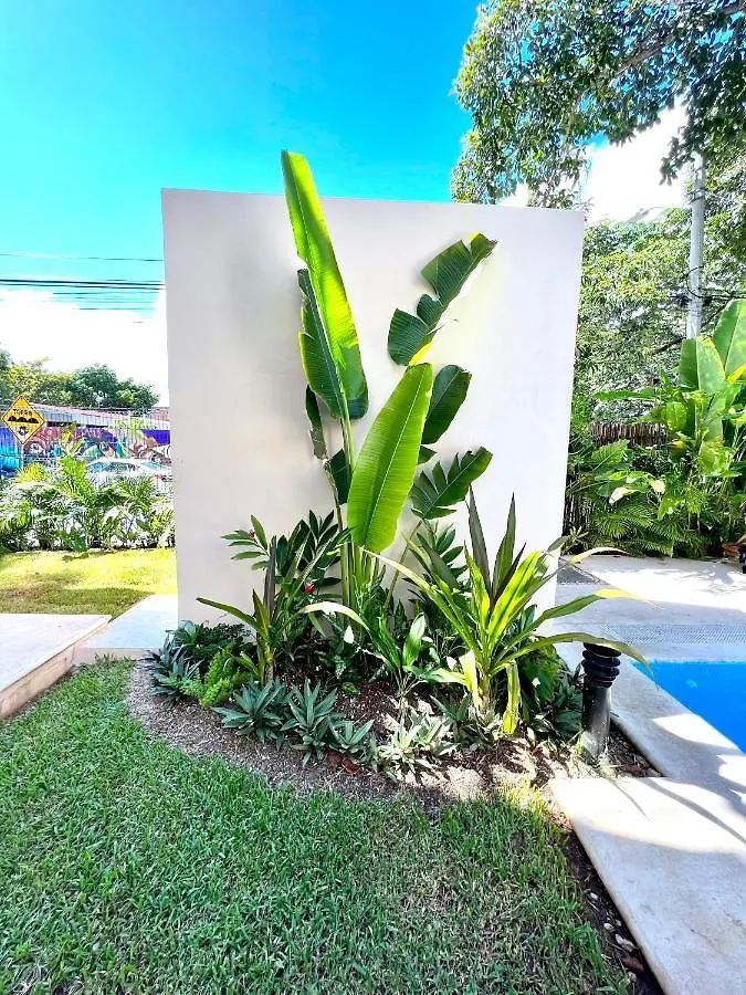 Apartamento Departamento en el corazón de Playa del Carmen
